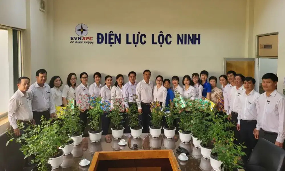 Điện lực Lộc Ninh